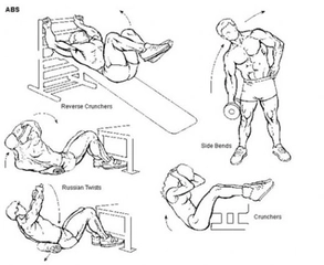 Vücut Geliştirme Hareketleri Nelerdir?